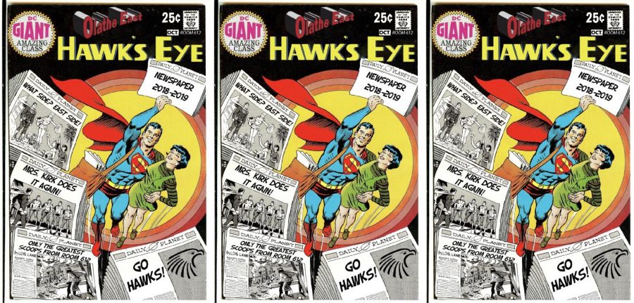 The Hawks Eye Art