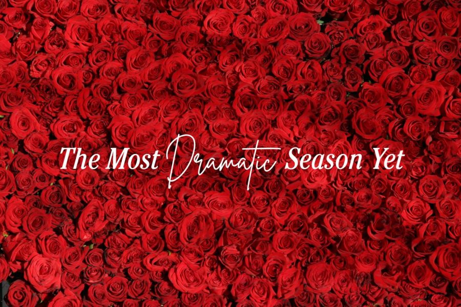 The+Most+Dramatic+Season+Yet